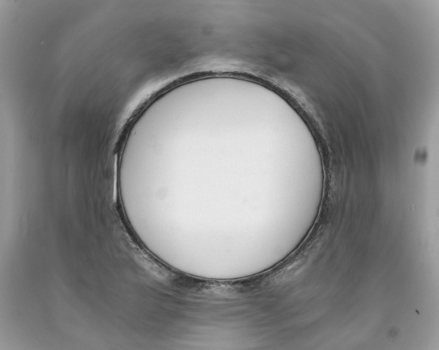 X0000091521175200709141409