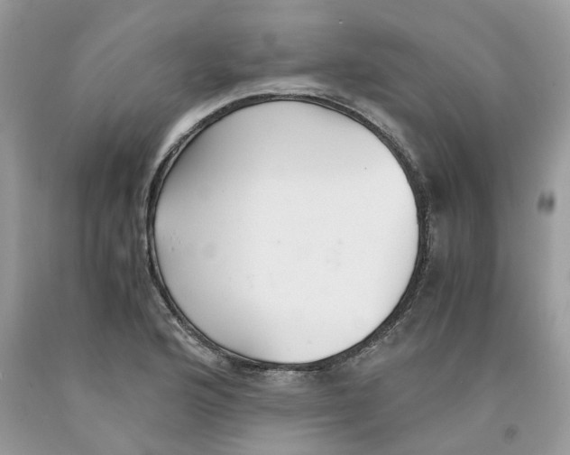 X0000091521176200709141409