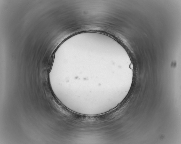 X0000091521177200709141409