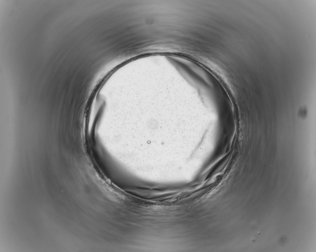 X0000091521179200709141409