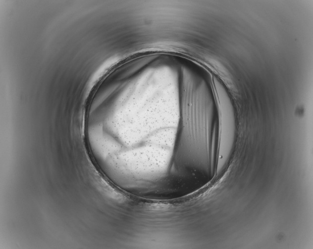 X0000091521180200709141409