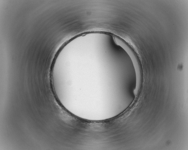 X0000091521181200709141409