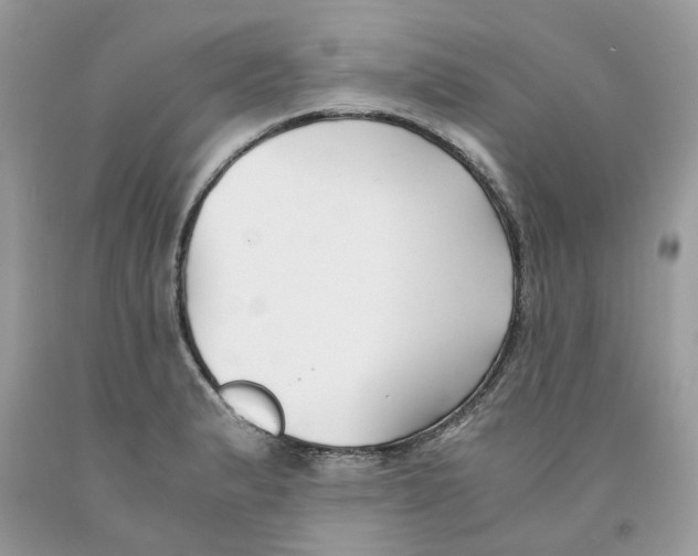 X0000091521183200709141409