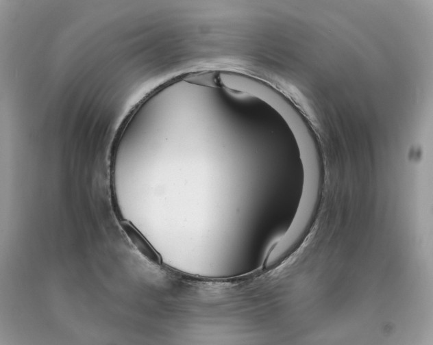 X0000091521184200709141409