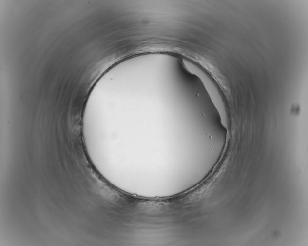 X0000091521185200709141409