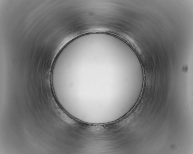 X0000091521186200709141409