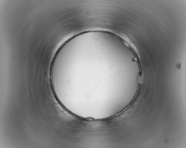 X0000091521189200709141409