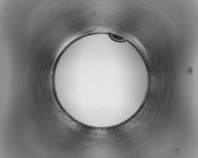 X0000091521190200709141409