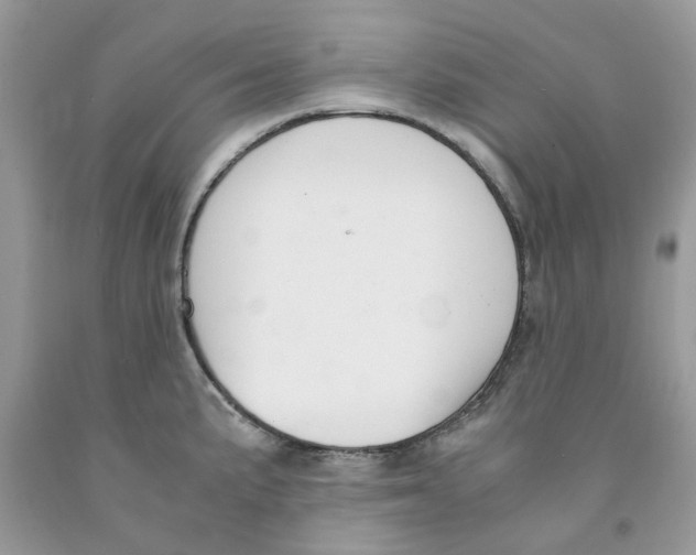 X0000091521191200709141409