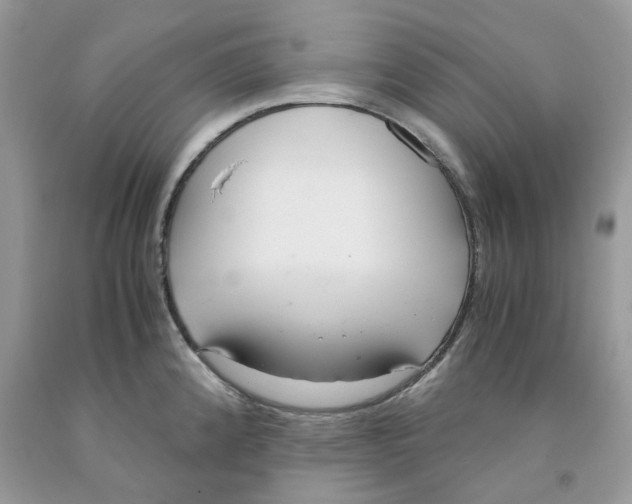 X0000091521192200709141409