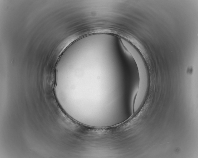 X0000091521193200709141409