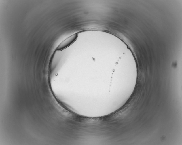 X0000091521195200709141409