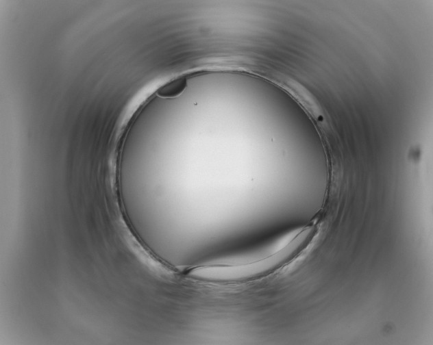 X0000091521196200709141408