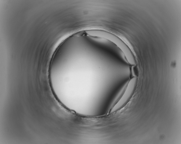 X0000091521197200709141408