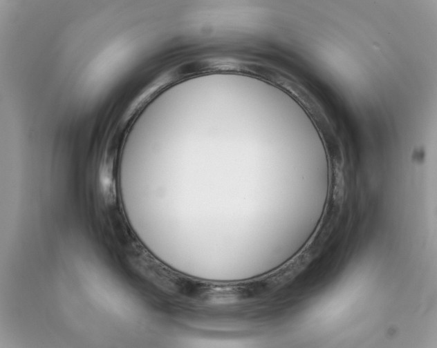 X0000091521198200709141408