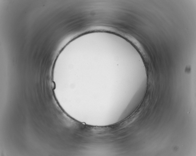 X0000091521199200709141408