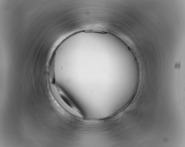 X0000091521200200709141408