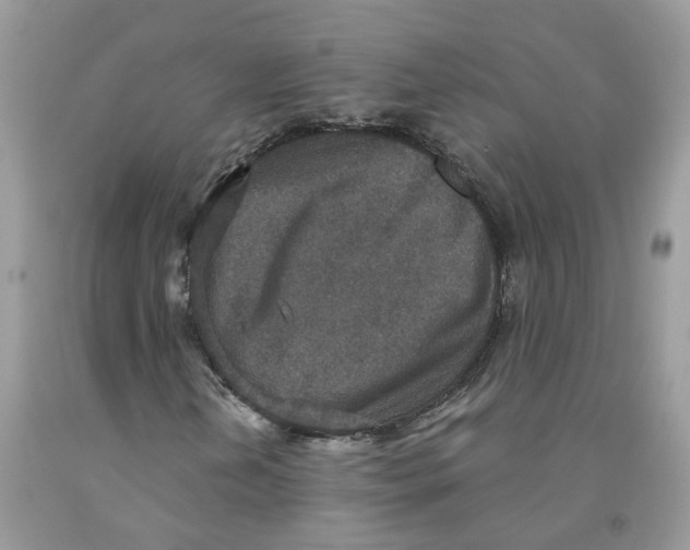 X0000091521202200709141408