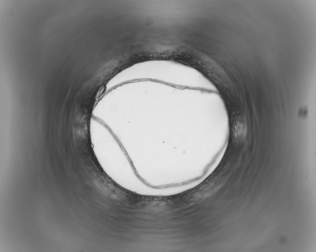 X0000091521204200709141408