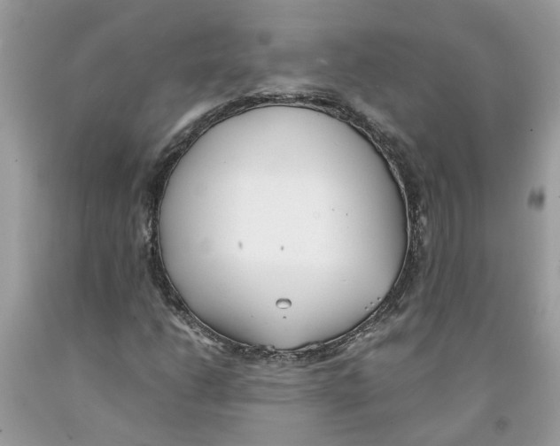 X0000091521206200709141408