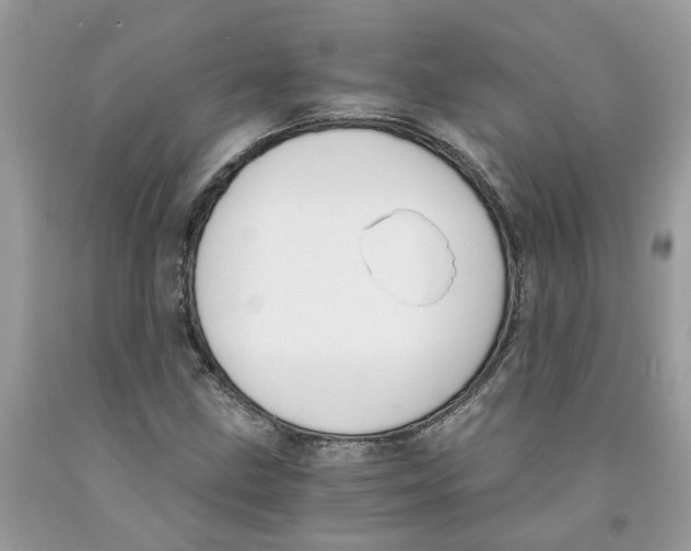 X0000091521211200709141408