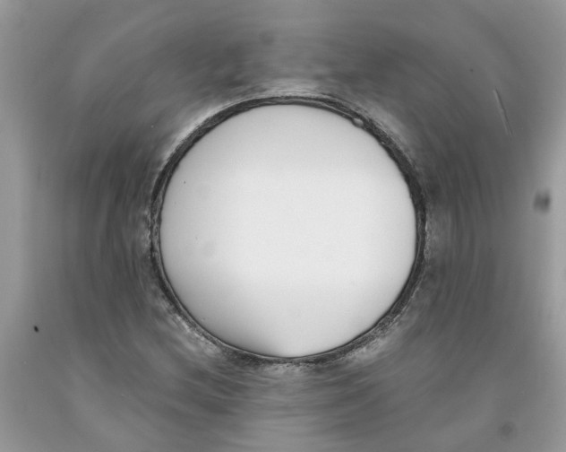 X0000091521212200709141408