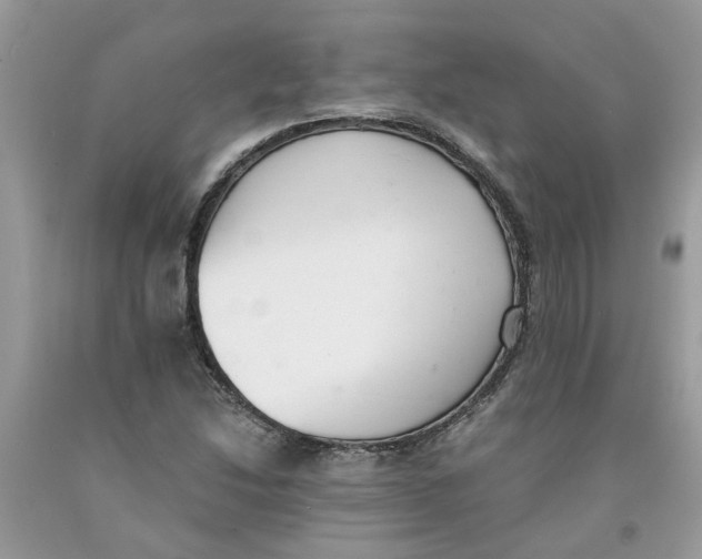 X0000091521214200709141408