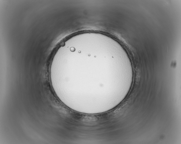 X0000091521215200709141408