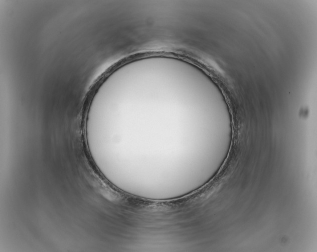 X0000091521216200709141408