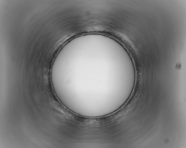 X0000091521217200709141408