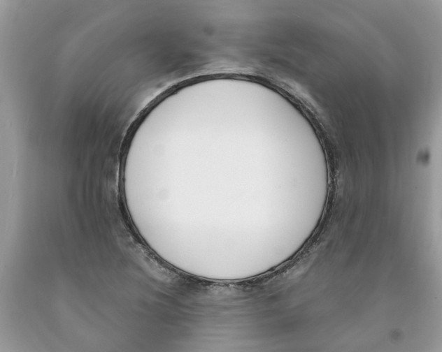 X0000091521220200709141408