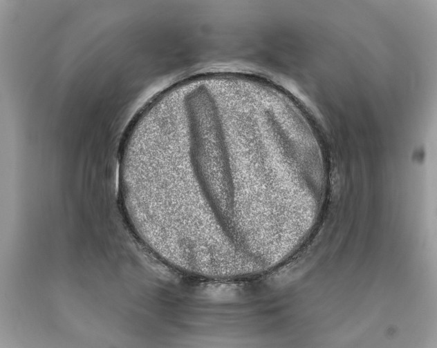 X0000091521221200709141408