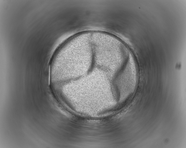 X0000091521223200709141408