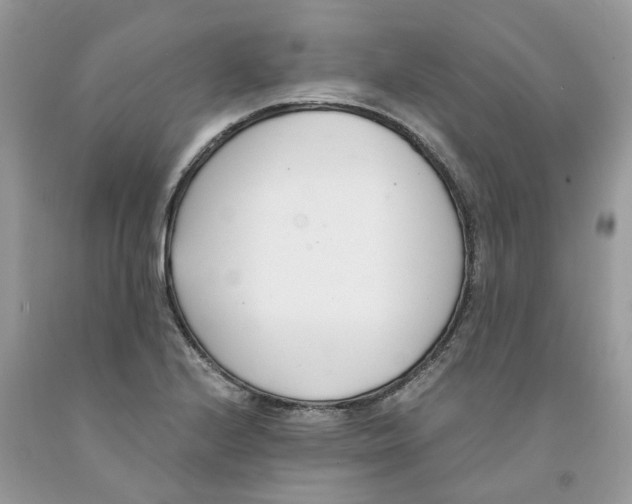 X0000091521224200709141408