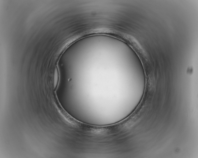 X0000091521225200709141408