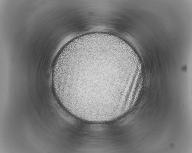 X0000091521227200709141408