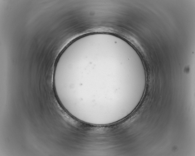 X0000091521228200709141408