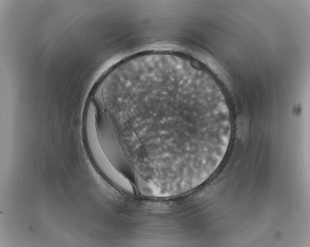 X0000091521229200709141408