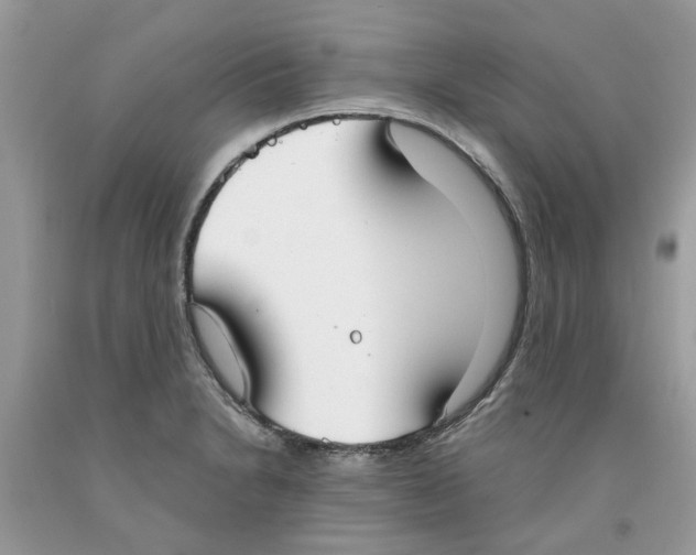 X0000091521230200709141408