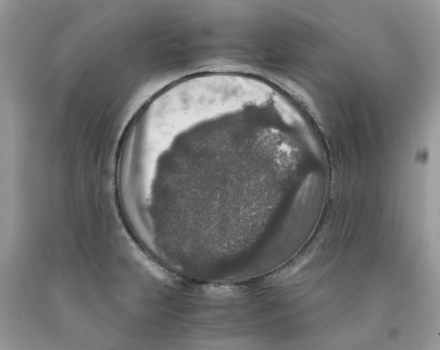 X0000091521231200709141408