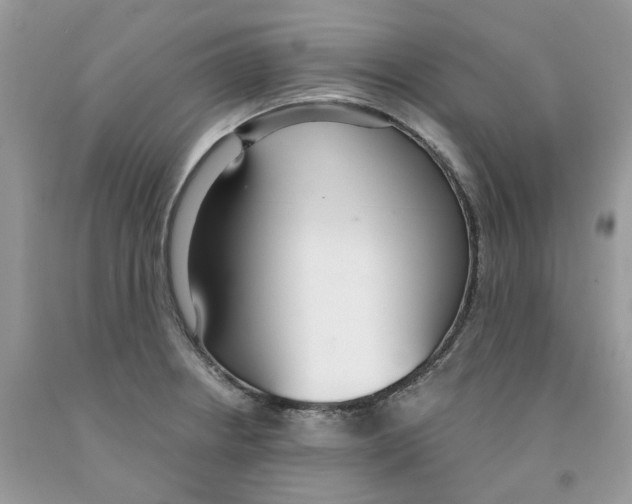 X0000091521234200709141408