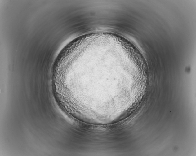 X0000091521235200709141408