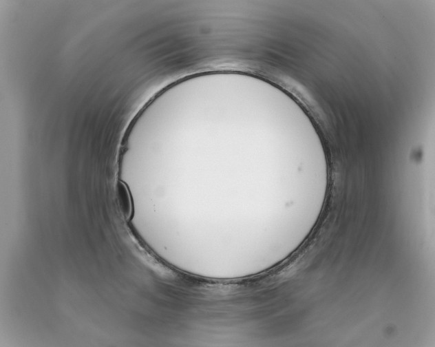 X0000091521236200709141408