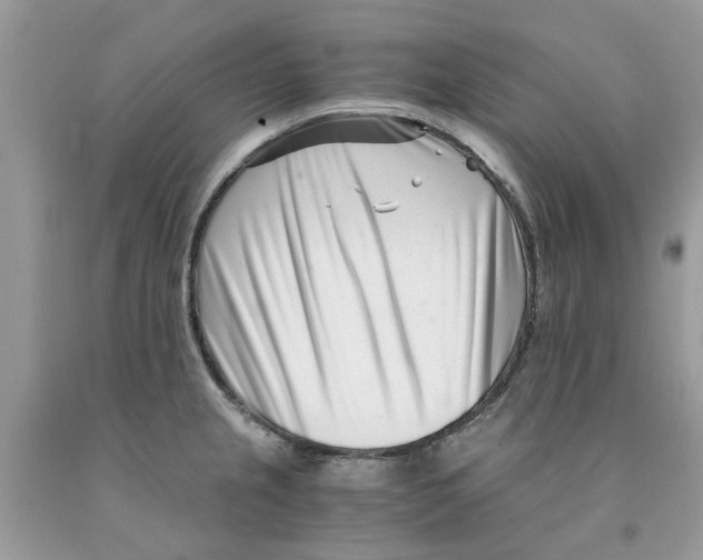 X0000091521237200709141408