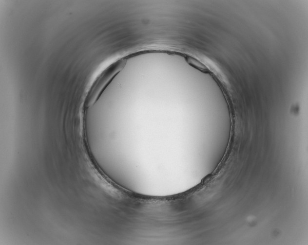 X0000091521238200709141408