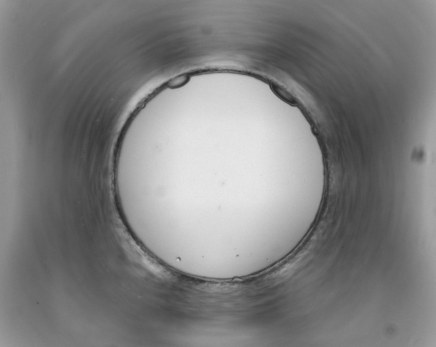 X0000091521240200709141408