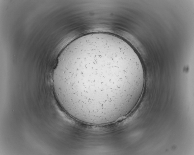 X0000091521241200709141408