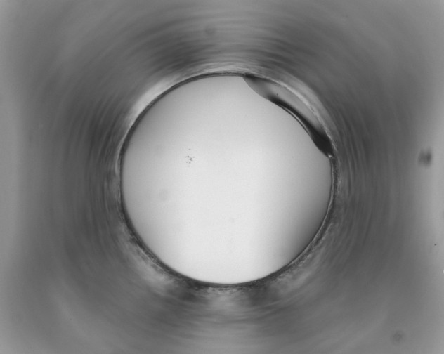 X0000091521242200709141408