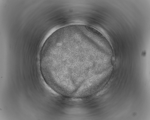 X0000091521243200709141408