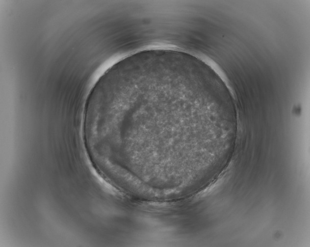 X0000091521245200709141408